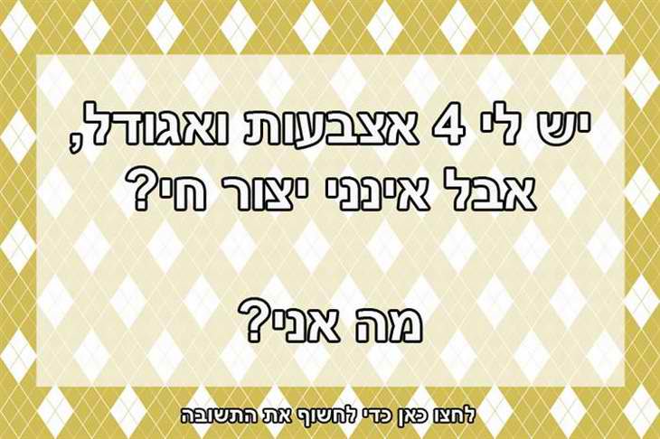 חידה כפפה.jpeg