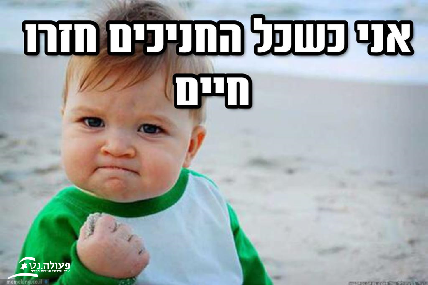 תמונה20.png